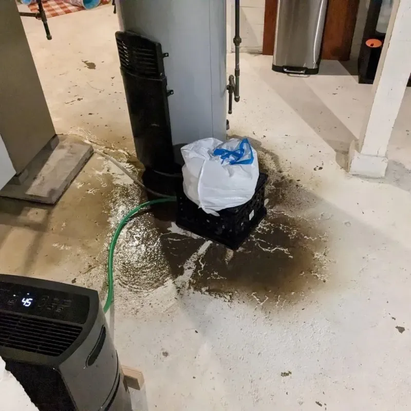 Sewage Backup Cleanup Service in Laurens County, GA